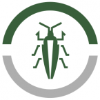 icon2 icon2